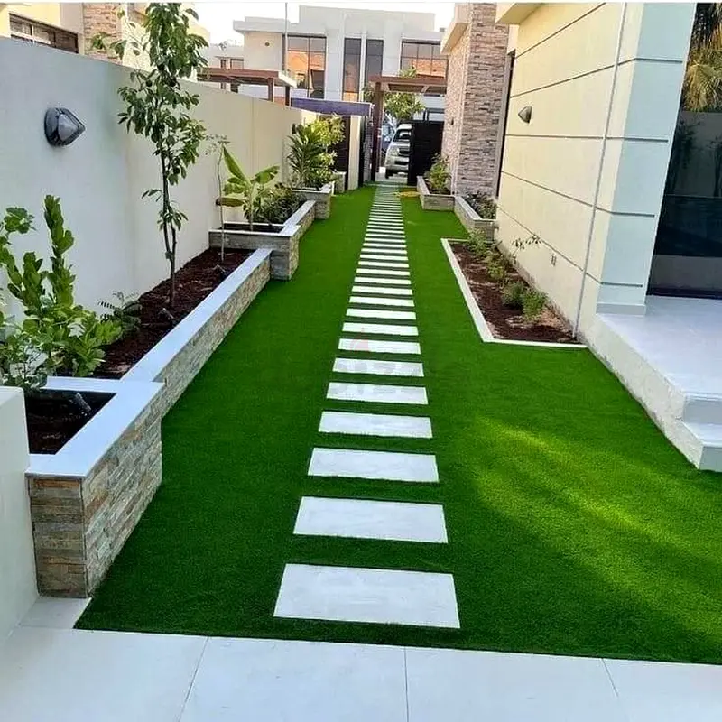 DPV_View_Image_4