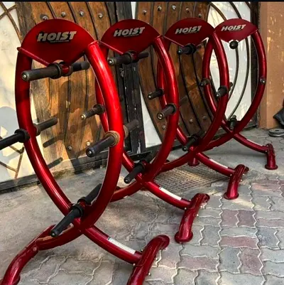 Hoist Weight Plate Storage Racks - Set of 3, Heavy Duty