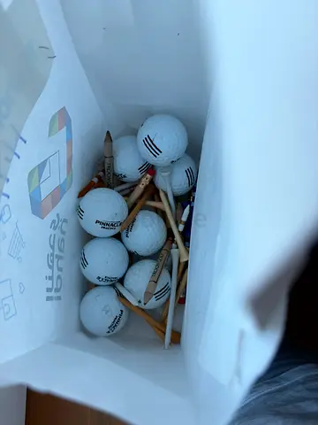 Used golf balls and wooden tees set — around 10 balls, assorted tees