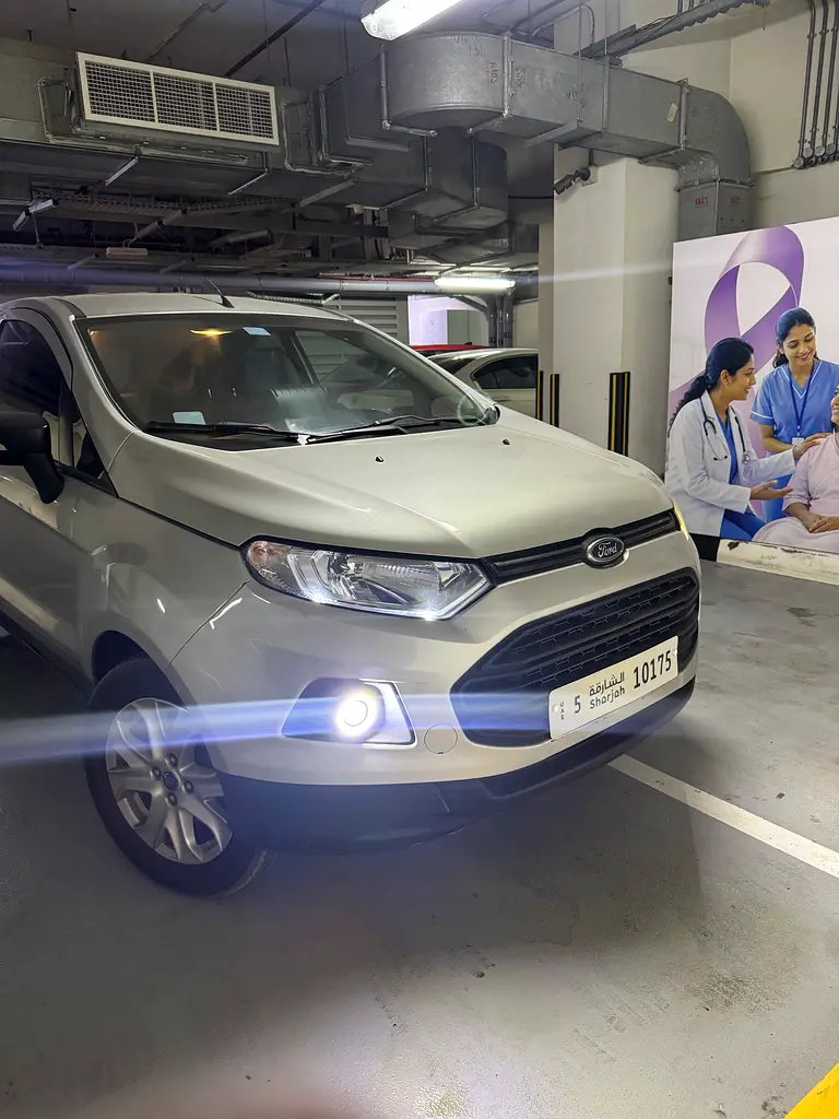 Ford Ecosport 2016 — photo 1 of 10