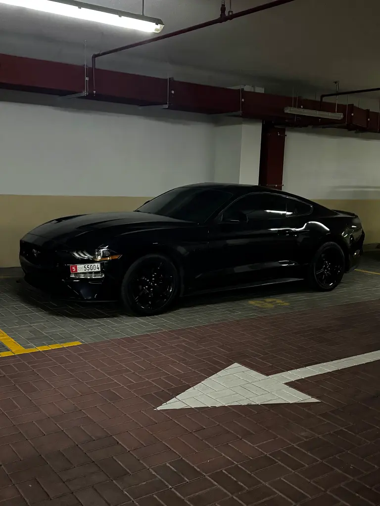 Ford Mustang 2020 — photo 1 of 4