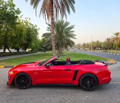 2020 FORD MUSTANG 缩略图 12