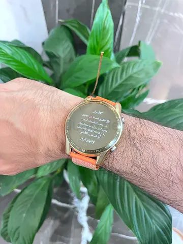 GT2 Smartwatch  Classic Edition With 14 Days Battery 46mm Pebble Brown
