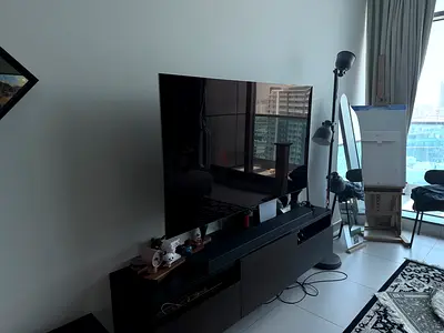 65 LG OLED C2 TV