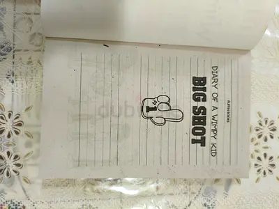 Diary of a Wimpy Kid: Big Shot