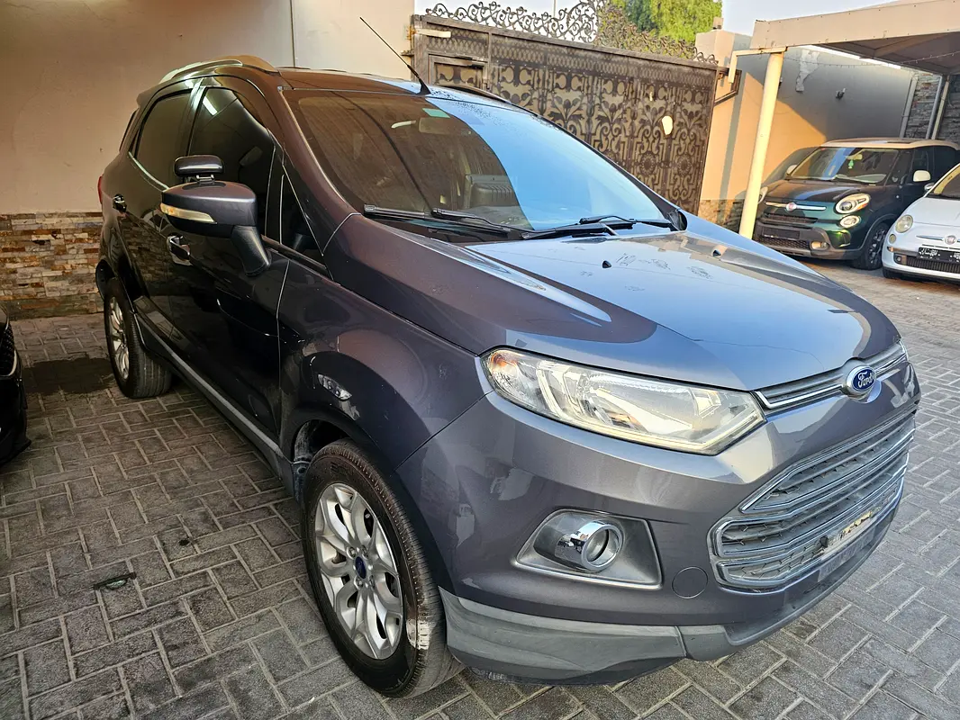 Ford Ecosport 2016 — photo 1 of 10