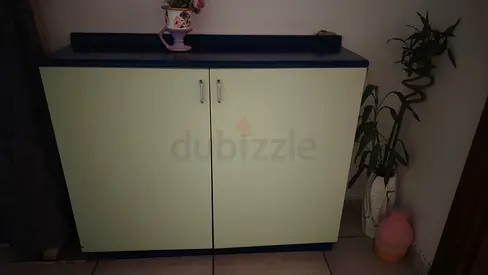 Storage Cabinet with Two Doors