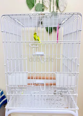 Bird cage