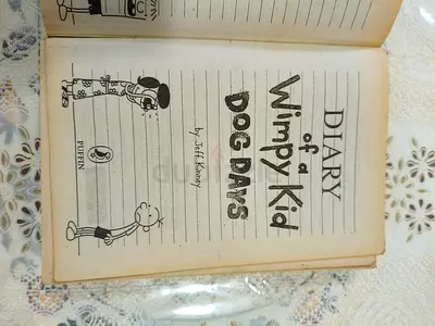 Diary of a Wimpy Kid: Dog Days (Used paperback)