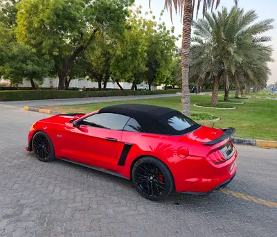 2020 FORD MUSTANG 缩略图 14