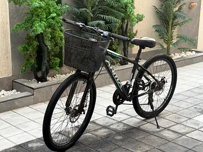 Anma Black Mountain Bike with Front Basket