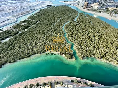 Fully Furnished / Full Mangrove view / Hot deal