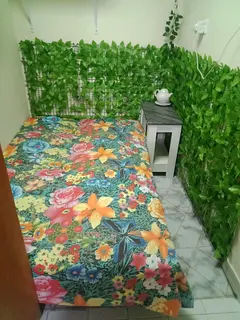 Small room for executive lady. 3 minutes walk from abuhail metro stn