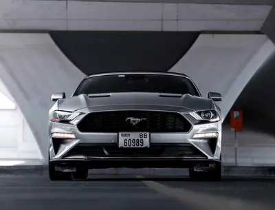 2022 FORD MUSTANG 照片 7