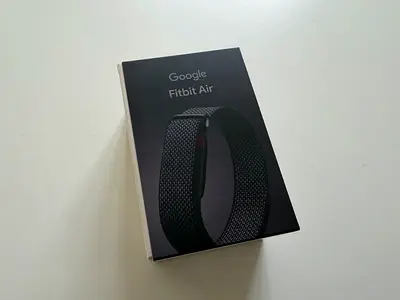 Google fit bit air