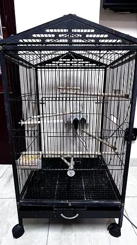 Bird cage