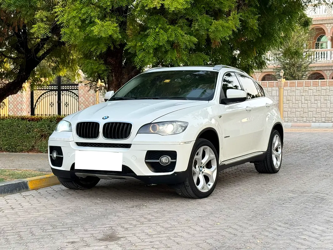 BMW X6 2010 — photo 1 of 14