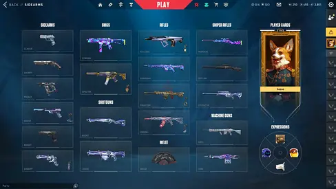 Valorant account