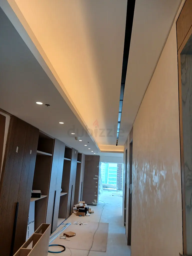 DPV_View_Image_2