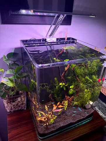 Aquarium