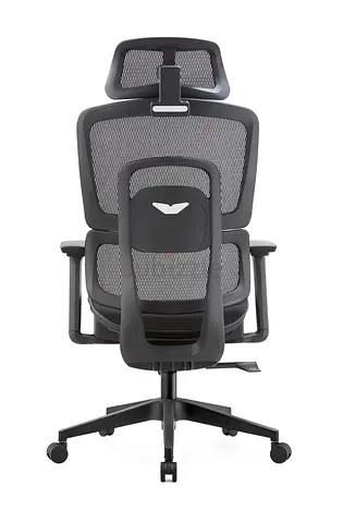 Ergonomic Mesh Office Chair with Headrest