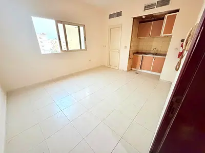 Spacious Studio central ac and gas under