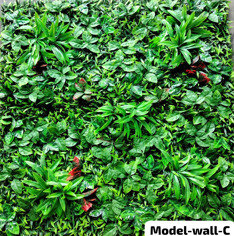 DPV_View_Image_5