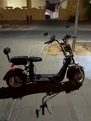 Two-seater Electric Scooter - Good Condition