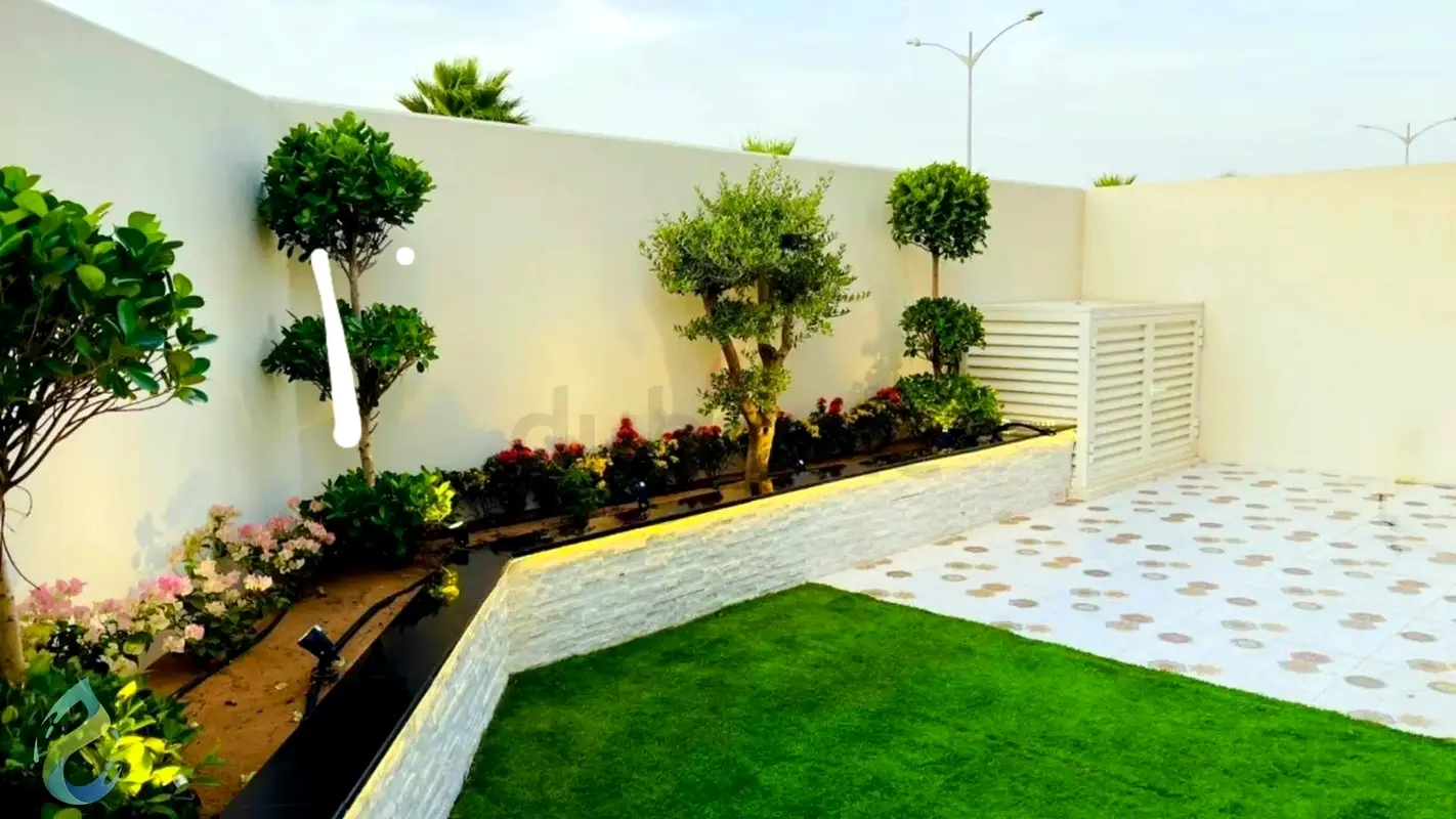 DPV_View_Image_3