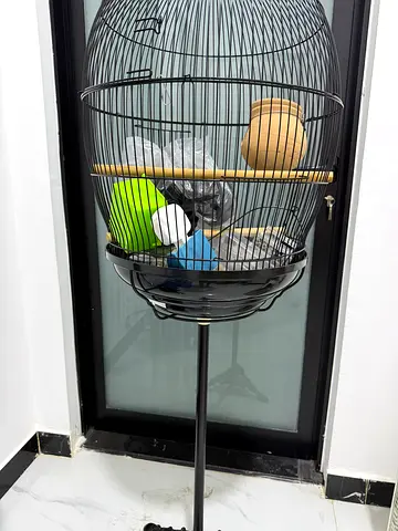 Standing bird cage with toys - good condition