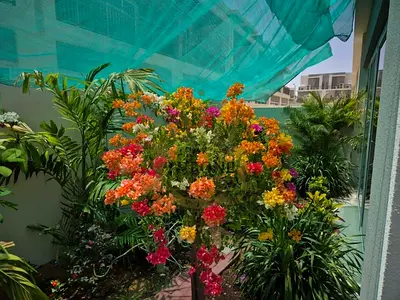Upgraded Corner Unit-Exotic Plants-L-Shape Garden