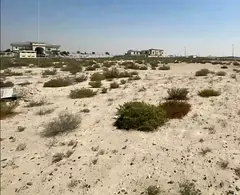 Land for sale in Arqoub area