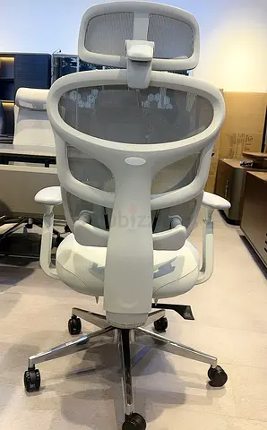 Ergonomic Mesh Office Chair with Headrest