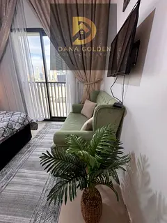Welcome to Dana Golden Hoodie Homes Real Estate LLC Payment Details: 3899 Apartment Details Studio S