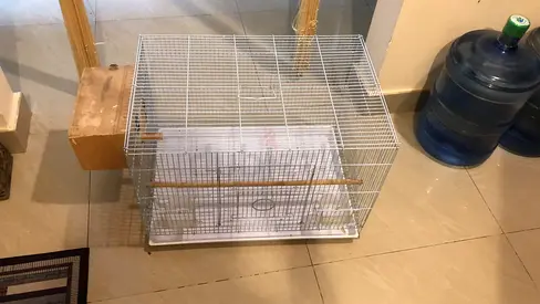 Bird cage