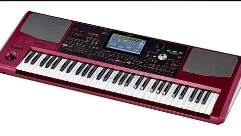Pa1000