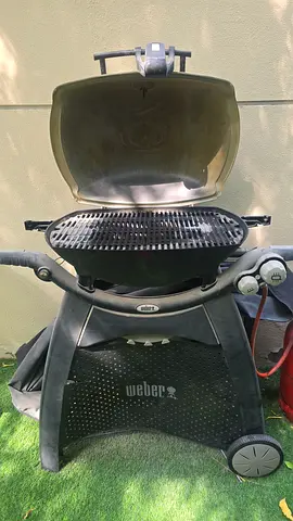 Weber Q Gas Grill on Stand - Good Working Condition