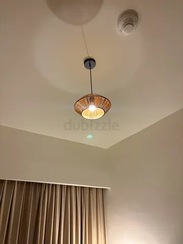 Rattan pendant ceiling light - modern hanging lamp (bulb included)