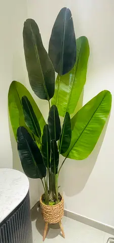 Large artificial bird of paradise plant in woven pot on wooden stand 2,00 m