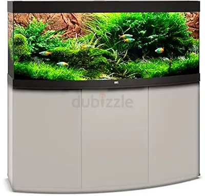 Large Curved Glass Aquarium with Stand - Complete Fish Tank Setup