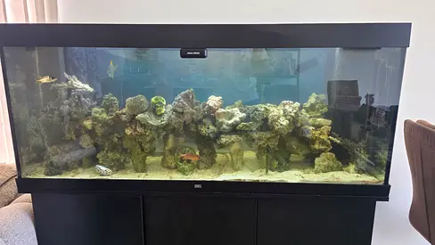 Juwel Rio 450 Marine Fishtank