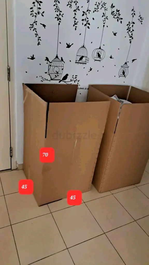 DPV_View_Image_1