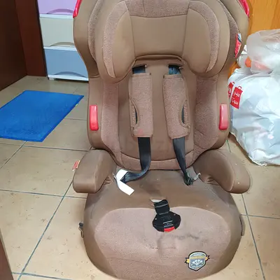 Car Seater