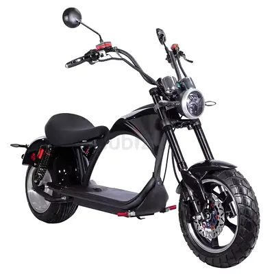 Kugoo M1 Electric Scooter