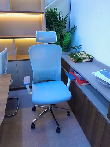 Ergonomic Mesh Office Chair with Headrest