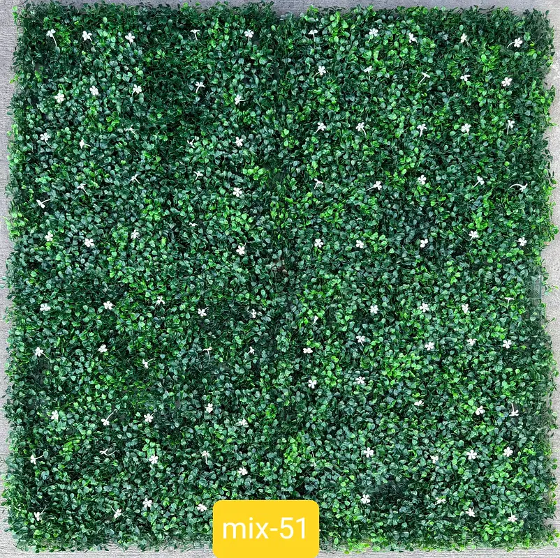 DPV_View_Image_6