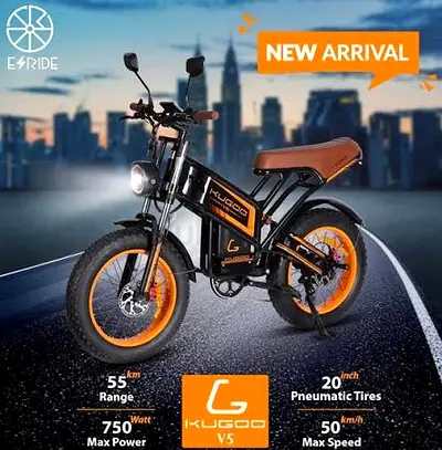 Kugoo V5 Electric Scooter