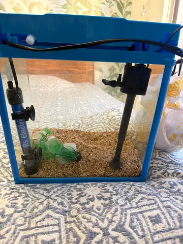 Small Blue Fish Aquarium Tank with Filter and Gravel