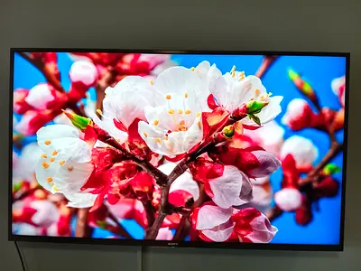 SONY 4K UHD LED SMART ANDROID TV 49 INCH