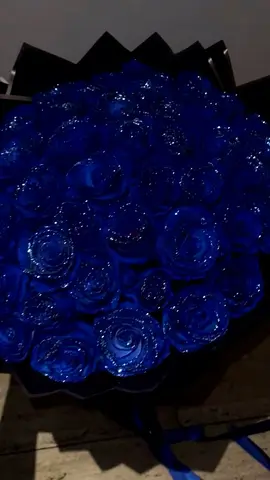 Bouquet of Preserved Deep Blue flower Roses (Decorative Collectible)